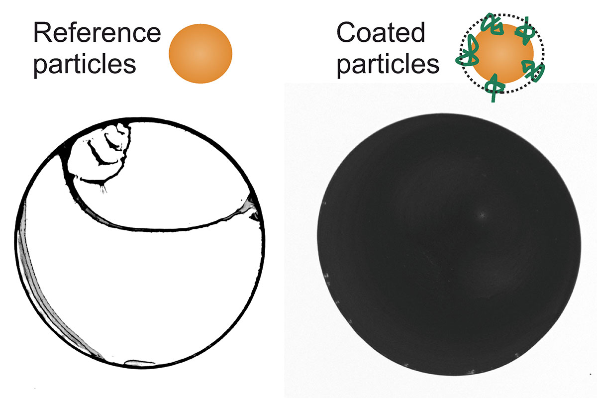 Eine Flüssigkeit, die Partikel enthält zeigt das charakteristische Trocknungsbild eines Kaffeerings (links). Wird die Oberfläche der Partikel mit grenzflächenaktiven Polymeren funktionalisiert, trocknet die Dispersion dagegen in einem homogenen Film (rechts). (Bild: Marcel Rey)